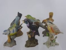 A Quantity of Porcelain English Garden Birds, including Blue Tit, Green Finch, Wren, Owl, Blue