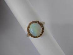 A Lady's 14 K Yellow Gold Opal and Diamond Cluster Ring, size P, the ring set with a single opal,