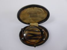 Theodore Hamlin Tortoiseshell Folding Glasses, in the original box.