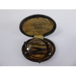 Theodore Hamlin Tortoiseshell Folding Glasses, in the original box.