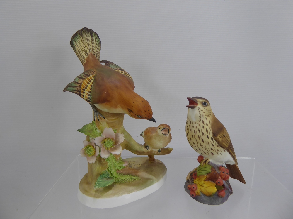 Porcelain Bird Figurines, including Doris Linder 'Flycatcher' and Royal Worcester 'Thrush'. (2)