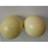 Two Ostrich Eggs. (2)