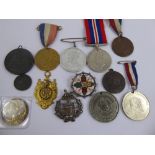 A Collection of Medallions