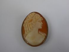 A Lady's 9ct Gold Shell Cameo, depicting a feminine profile.