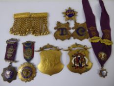 Miscellaneous Order of The Buffalo Jewels, including silver and enamel hallmarked medals, approx 120