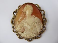 An Impressive Antique Shell Cameo, 9 ct Gold (tested) mount, the cameo depicting a classical lady,