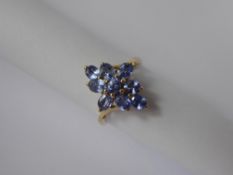 A Lady's 9 ct Ceylon Sapphire Cluster Ring, approx 1.88 ct sapphires, size O, approx 2.9 gms.