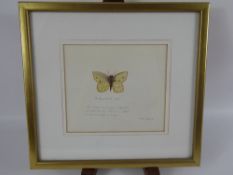 Mariela Cook, Seven Watercolours, framed and glazed, depicting Butterflies and Moth, 1. Eyed Hawk