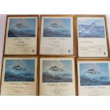 Six Merit Certificates, awarded to Jane Sybilla Crosland, for Deep Sea Capture & Release Fishing,