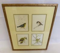 J. Baker (British) 1974-1971, four original watercolours, depicting British birds, multi-framed