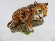 A Vintage Continental Porcelain Leopard, marked Felis Pardus (Leopard), approx 12 cms, factory