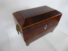 A Regency Burr Walnut Tea Caddy, the caddy having lion mask handles on ball feet, approx 19 x 12 x