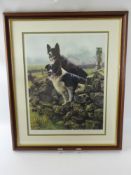 Steven Townsend Limited Edition Print, depicting 'Border Collies', signed in pencil lower right nr