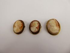 Three Yellow Metal Shell Cameos, depicting classical profiles.