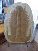 A Moroccan Trilobite, the fossil art embellished with ochre paint, approx 75 x 107 cms Property of a