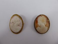 Two Antique Shell Cameo Brooches, depicting classical profiles in relief, contained within 11 and