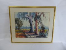 William Gregory Grant b 1876-1951 Australian, a watercolour on paper of Eucalyptus Trees, approx