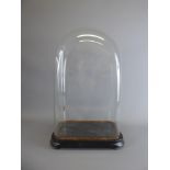 A Large Victorian Glass Dome, on square base, approx 46 x 26 cms