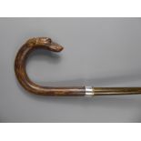 A Beautifully Crafted Gentleman's Walking Stick, carved with a Greyhound Head, having glass eyes.