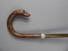 A Beautifully Crafted Gentleman's Walking Stick, carved with a Greyhound Head, having glass eyes.