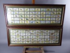 Two Framed and Glazed Collections of Cigarette Cards Depicting Dogs, including Players and Wills,