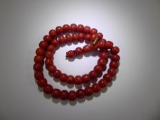 A Set of Antique Coral Beads, the fifty six beads of approx 8 mm on a 9ct gold clasp, approx 46 cms,