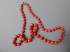 An Antique Graduated Pink Coral Bead Necklace, approx 45 cms, beads 0.4 to 7 mm.