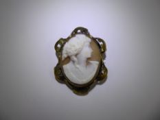 An Antique Yellow Metal Shell Cameo, depicting a classical figure, approx 42 x 32 mm, approx 12.3