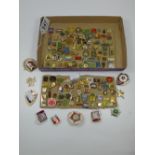 COLLECTION OF BADGES