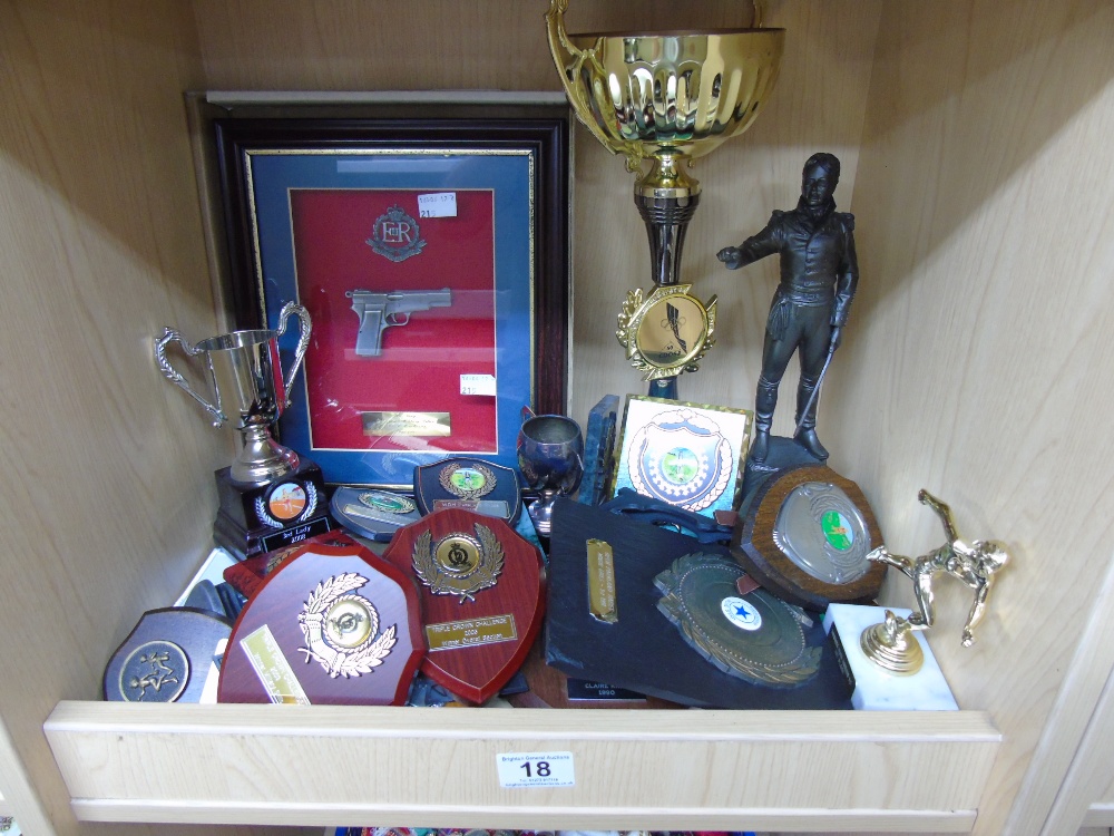 LARGE QUANTITY OF TROPHIES & MEDALS