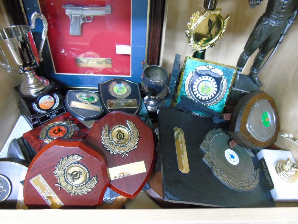 LARGE QUANTITY OF TROPHIES & MEDALS - Image 2 of 3