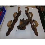 PAIR OF HOOF COAT / GUN RACKS AND A HOOF WALL PLAQUE