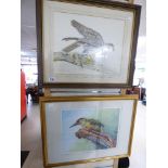 2 X SIGNED PRINTS, YOUNG GOSHAWK BY JOHN MORLAND & KINGFISHER BY LEIGHTON MOSES