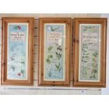 3 X PINE FRAMED HERBAL PRINTS