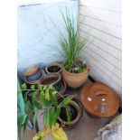 ASSORTED GARDEN POTS