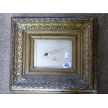 PICTURE OF A SEAGULL IN ORNATE FRAME