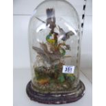 VICTORIAN TAXIDERMY OF BIRDS UNDER A GLASS DOME. 33CMS