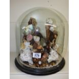 VICTORIAN SHELL DISPLAY UNDER A GLASS DOME 34 CMS HIGH, 33 CMS DIAMETER