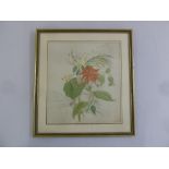 A framed and glazed watercolour still life of flowers, info to verso, dated May 26th 1806, 35.5 x