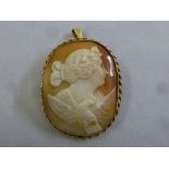A carved cameo of a classical lady in profile with a bird in a 9ct gold frame