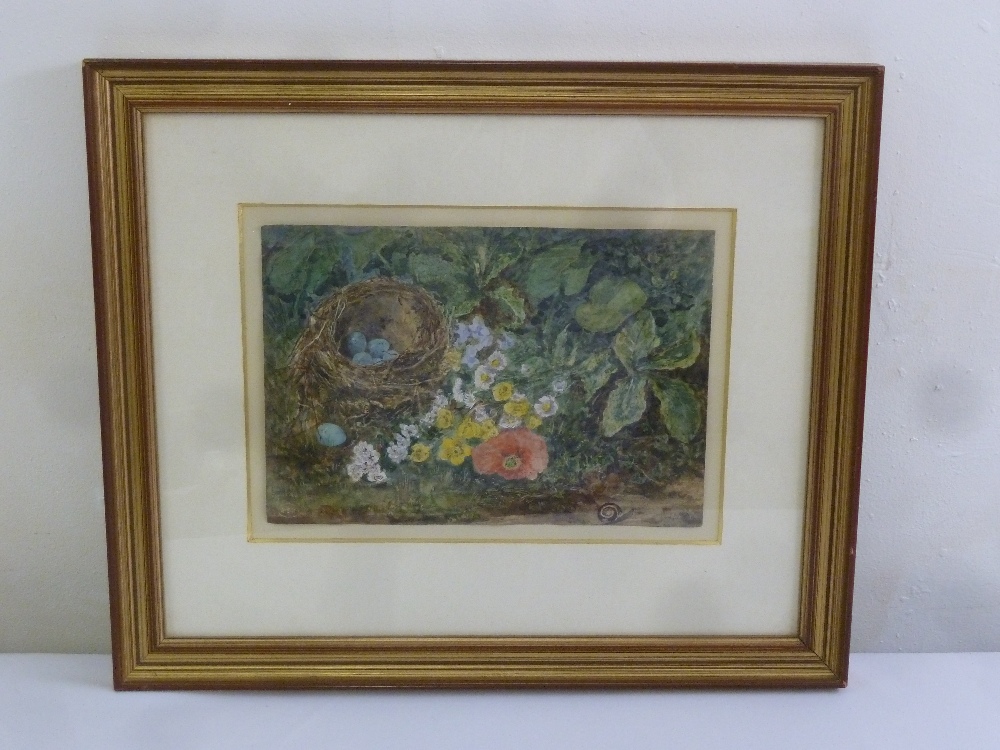A framed and glazed watercolour of a birds nest and flowers, blind stamped ESK bottom left, 22 x