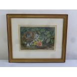 A framed and glazed watercolour of a birds nest and flowers, blind stamped ESK bottom left, 22 x