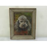 P S Baumgartner framed oil on panel of a dog, signed bottom left, 44 x 34cm