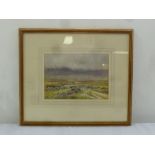 W.S. Morrish framed and glazed watercolour of Dartmoor, signed bottom left, 19 x 27cm