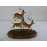 Louis Paul Jonas limited edition 228/500 porcelain figural group of leaping Springbok, signed to the