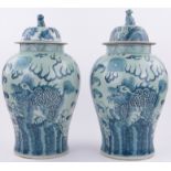 Pair of large Chinese blue and white porcelain vases, with painted dragons and text, height 22".