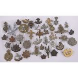 A Collection of military cap badges.