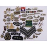 A Collection of military cap badges.