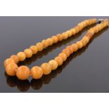 A string of butterscotch amber beads, largest 14mm diameter, 30g.