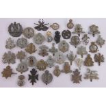 A Collection of military cap badges.